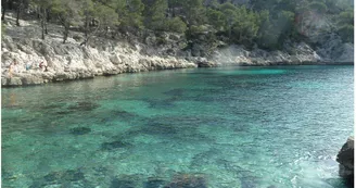 Calanque de Port Pin Marseille