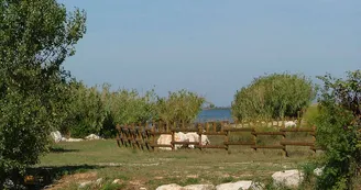Sentier de l'étang de Bolmon