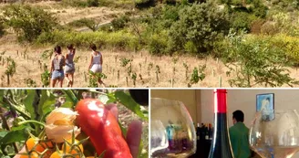 Visite Potager et Vignoble Visite Potager et Vignoble