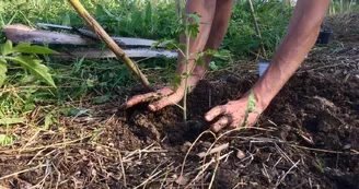 Atelier Permaculture Potager Atelier Permaculture Potager