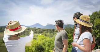 wine-tour-demi-journée-pic-saint-loup wine-tour-demi-journée-pic-saint-loup