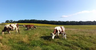 Autour de la ferme Autour de la ferme