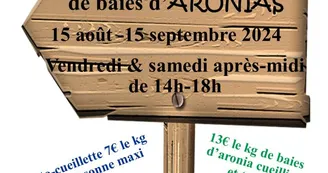 Autocueillette domaine des aronias