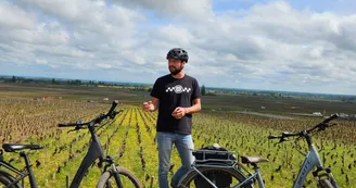 Vignobles de Nuits St Georges-35-07 6