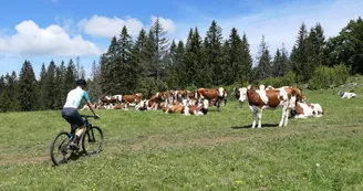 Excursion VTT Excursion VTT