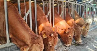 Ferme équestre Equi Complice 