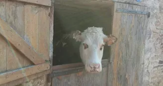 Ferme équestre Equi Complice 