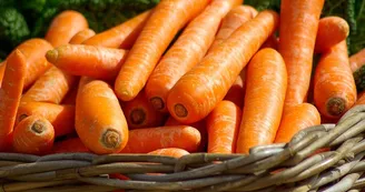 carrots-g87ee26094_1280 carrots-g87ee26094_1280