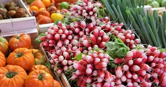 radishes-2966482_960_720 radishes-2966482_960_720