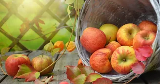 Fête de l'automne Le Chalard Fête de l'automne Le Chalard