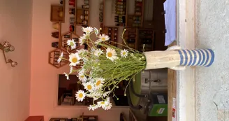 Vue de la boutique de l'extérieur 