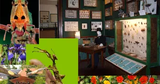 Cité des Insectes : Musée & Parc nature_1 Cité des Insectes : Musée & Parc nature_1