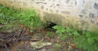 Bonne fontaine Saint Sulpice