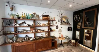 Cabinet de curiosités