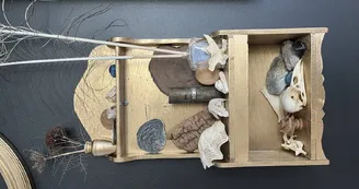 Cabinet de curiosités