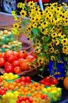 Marché de Producteurs de Coutansouze