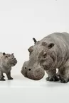 Tania Boucard - Sculptures animalières
