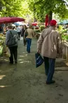 Marché hebdomadaire  de Massignac