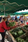 Marché de Talence Thouars
