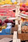 Marché Mugron - fruits