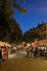 PHOT_Marche-nocturne_PDM_2024©M.Pierredon (1)