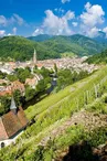 Thann vue du vignoble