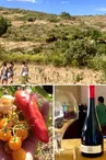 Visite Potager et Vignoble